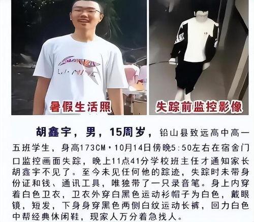 最新爆料胡鑫宇,揭秘真相背后的疑云重重